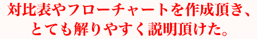 対比表やフローチャートを作成頂き、とても解りやすく説明頂けた。